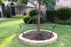 springscapes-tx-2026_image-11