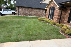 springscapes-tx-2026_image-13