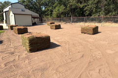 springscapes-tx-2026_image-16