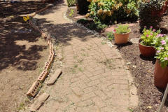 springscapes-tx-2026_image-17
