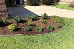 springscapes-tx-2026_image-4