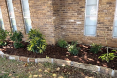 springscapes-tx-2026_image-6