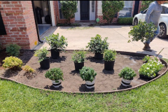 springscapes-tx-2026_image-7