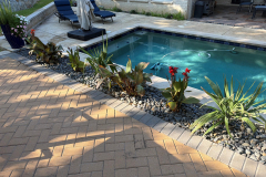 springscapes-tx-pool-2