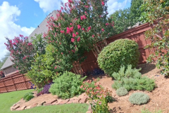 Residential landscaping by SpringScapes in Arlington, TX
