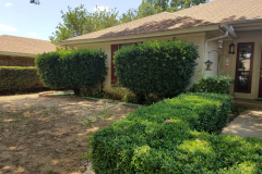 Residential landscaping by SpringScapes in Arlington, TX