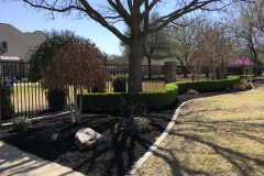 Residential landscaping by SpringScapes in Arlington, TX