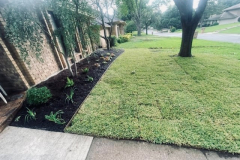 Residential landscaping by SpringScapes in Arlington, TX
