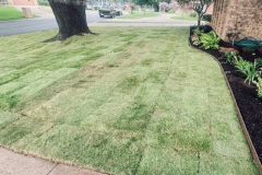 Residential landscaping by SpringScapes in Arlington, TX