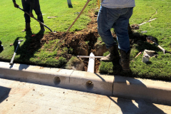 Residential landscaping by SpringScapes in Arlington, TX