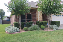 Residential landscaping by SpringScapes in Arlington, TX