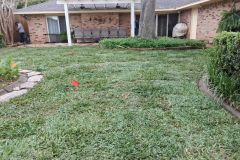Residential landscaping by SpringScapes in Arlington, TX