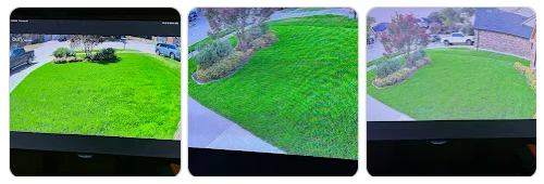 springscapes-tx-jonathan-3