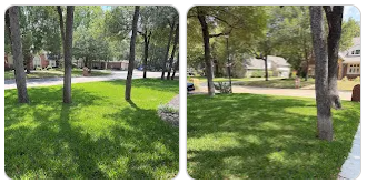 springscapes-tx-todd-2a